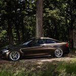 IND`s Pyrite Brown BMW M4
