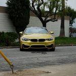 F82 BMW M4 by Need4Speed Motorsports