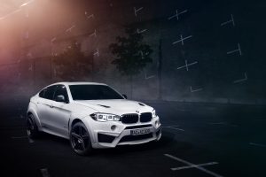 BMW X6 Falcon by AC Schnitzer  (11)