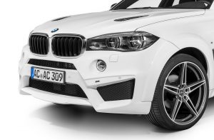 BMW X6 Falcon by AC Schnitzer  (30)