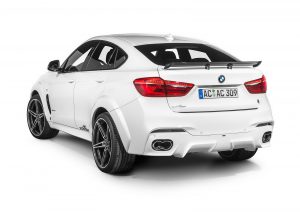 BMW X6 Falcon by AC Schnitzer  (8)