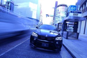 BMW X6 M by 3D Design  (27)