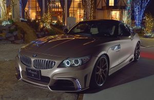 BMW Z4 by Rowen  (1)
