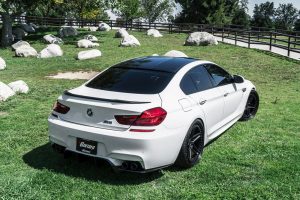 F14 BMW M6 Gran Coupe