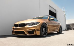 Sunburst Gold BMW M3 by EAS  (8)
