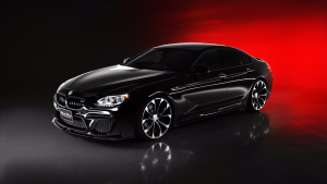 BMW 6-Series Gran Coupe with Black Bison Kit  (11)