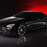BMW 6-Series Gran Coupe with Black Bison Kit  (12)