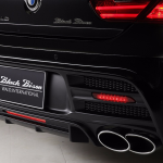 BMW 6-Series Gran Coupe with Black Bison Kit  (7)