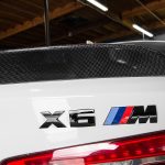 BMW X6 M with Significant Tweaks from EAS (30)