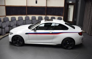 BMW M2 Coupe M Performance (21)