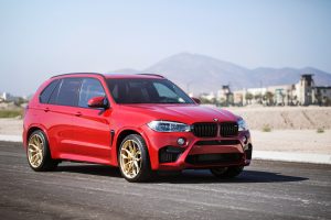 BMW X5 M by iND Distribution (12)